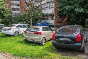 Что Может Быть если сбил Собаку и Уехал с Места ДТП