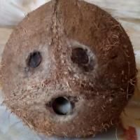 Сбил на Машине Дорожный Знак что Мне Будет