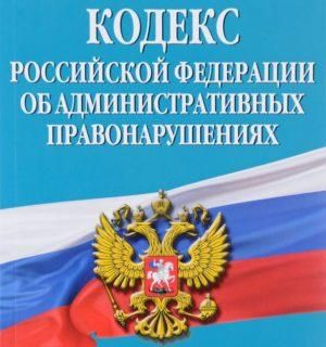 Что Будет если сбил Собаку на Машине и Уехал с ДТП