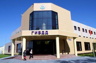 Чуть не Сбила Машина что Это за Знак Судьбы