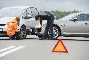Видео как Медведя Сбили на Машине