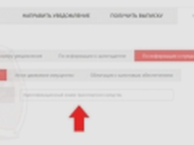 Авто в залог, Наша помощь