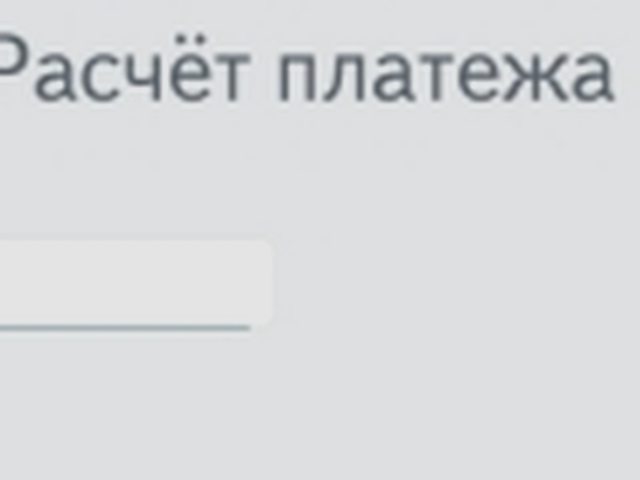 Авто в залог, Наша помощь