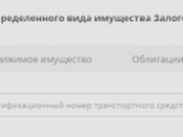 Авто в залог, Наша помощь