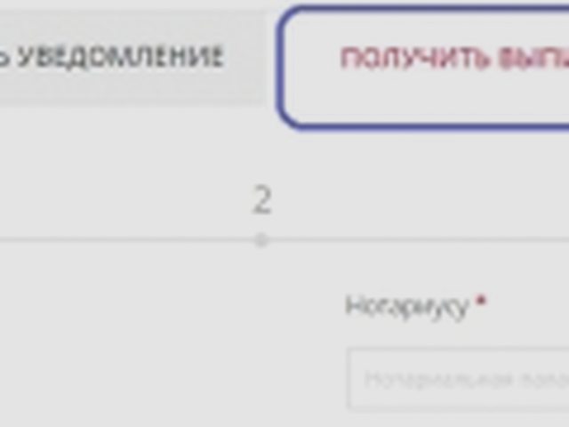 Авто в залог, Наша помощь