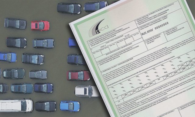 Зеленая карта, Наша помощь