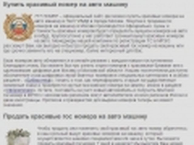 Гос номер автомобиля, Наша помощь