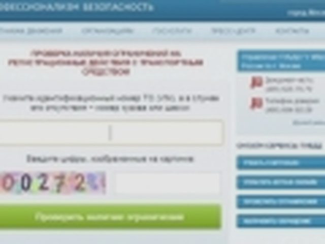 Гос номер автомобиля, Наша помощь