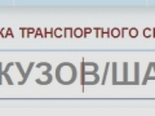 Как проверить машину, Наша помощь