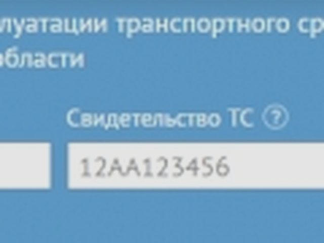 Как проверить машину, Наша помощь