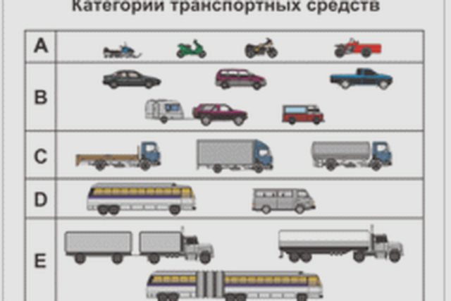 Водительское удостоверение, Наша помощь