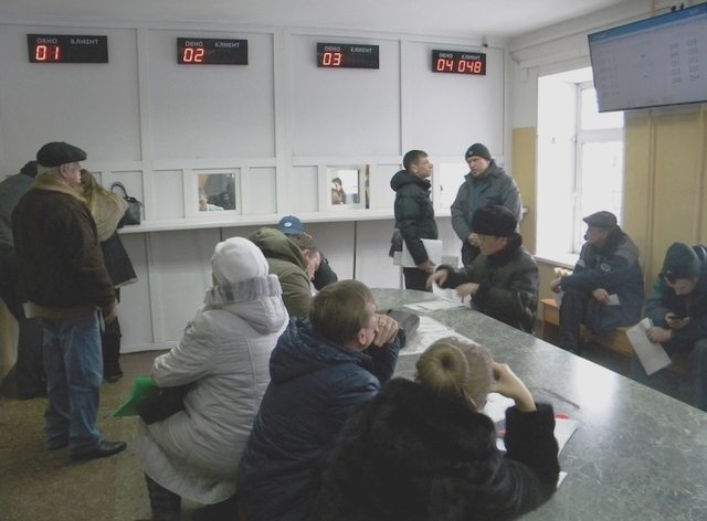 Статьи, Наша помощь