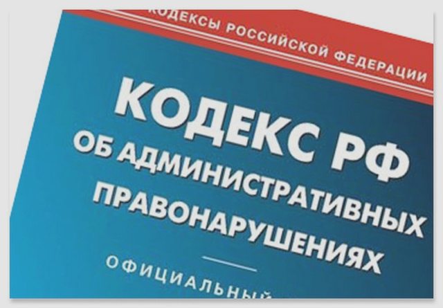 Общение с ГИБДД, Наша помощь