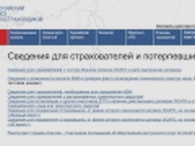 Паспорт транспортного средства, Наша помощь