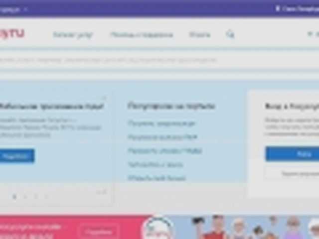 Паспорт транспортного средства, Наша помощь