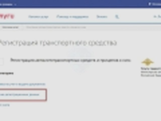 Паспорт транспортного средства, Наша помощь