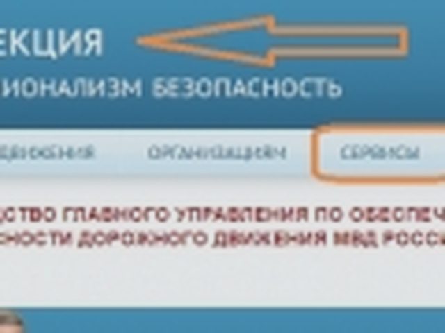 Паспорт транспортного средства, Наша помощь