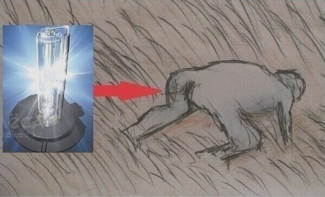 Статьи, Наша помощь