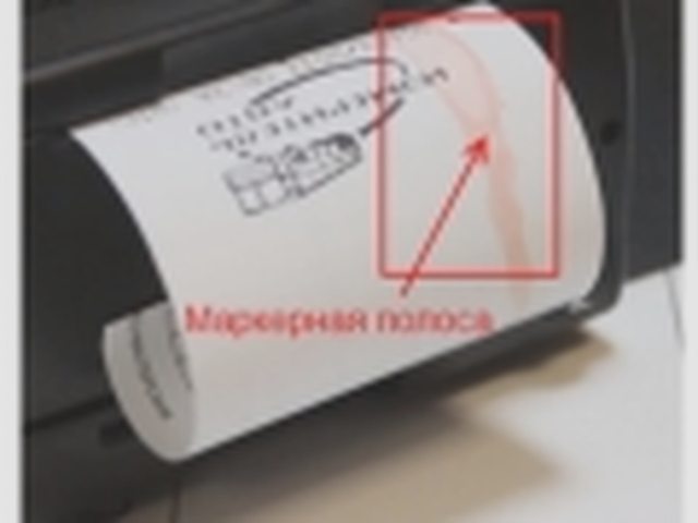 Тахограф, Наша помощь