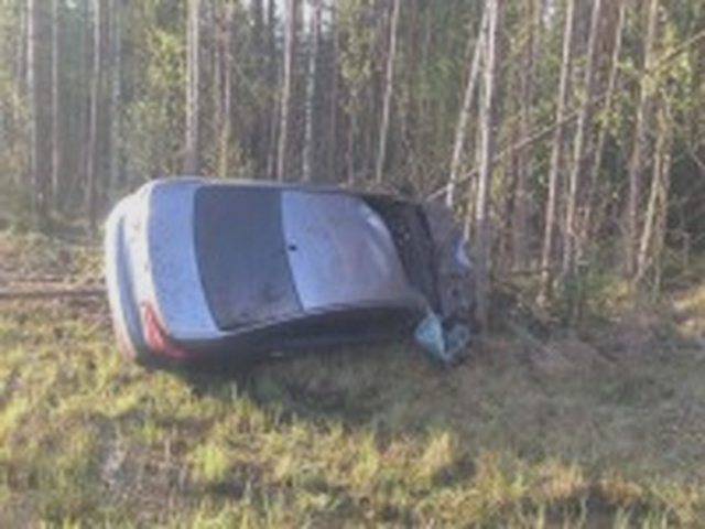 Выплаты по ОСАГО, Наша помощь
