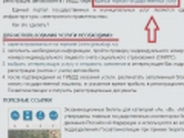 Внесение изменений в ПТС, Наша помощь