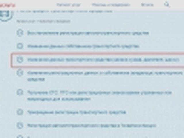 Внесение изменений в ПТС, Наша помощь