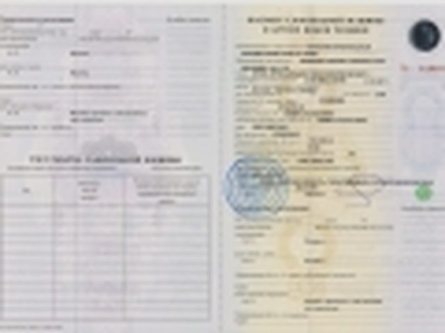 Водительское удостоверение, Наша помощь