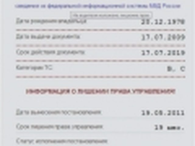 Водительское удостоверение, Наша помощь