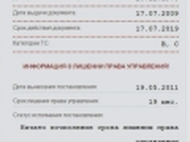 Водительское удостоверение, Наша помощь