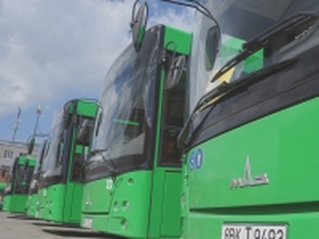 Зеленая карта, Наша помощь